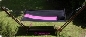 H�ngematte mit Holzgestell Noir Malve 380 cm  Eukalyptusholz 3841