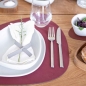 Preview: 2 er Set Lind DNA Tischset Platzset curve L Nupo Red 981903 rot mit 50 ml Dekomiro Reinigungsmittel