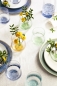 Preview: drsync-product-15957-15957g.jpg