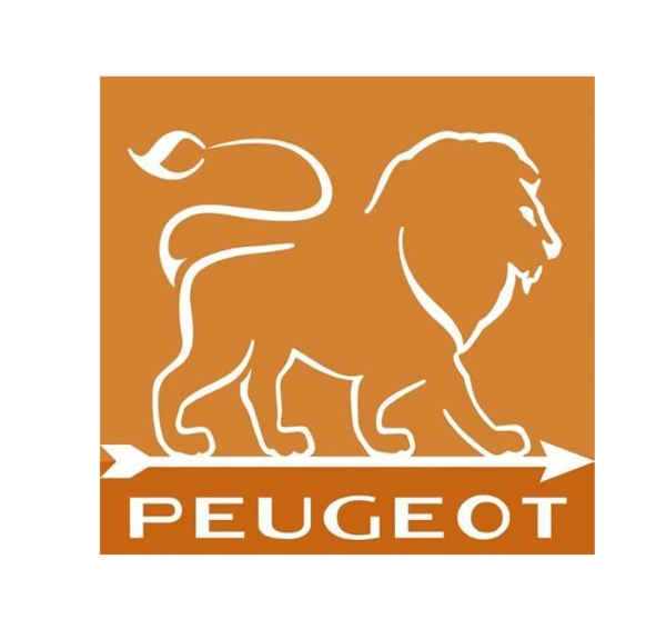 Dekomiro Geschenkset Peugeot Paris  MP 12 cm MS 12 cm schwarz u-select 