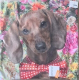 pad KissenhÃ¼lle Nikki Dackel 45x45 Multi mit KissenfÃ¼llung